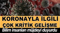 Koronavirüsle ilgili yeni gelişme! Bilim İnsanları Korona müjdesini verdi