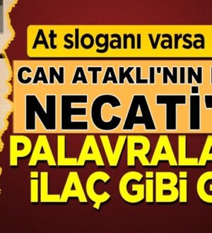 Sözcü Yazarı Necati Doğru Yandaş gazetecilik nasıl yapılır onu gösterdi