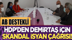 AB’ye giden HDP’den Selahattin Demirtaş için skandal isyan çağrısı!