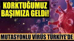 Bakan Koca açıkladı! İngiltere’de ortaya çıkan mutasyon virüs Türkiye’de