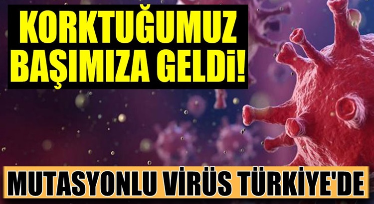  Bakan Koca açıkladı! İngiltere’de ortaya çıkan mutasyon virüs Türkiye’de