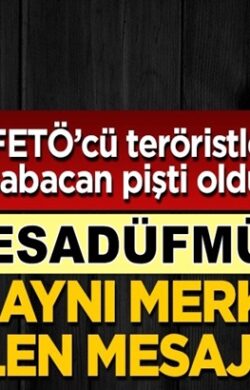Fetöcü hain Emre Uslu İle Ali Babacan’dan Twitter’dan aynı mesaj
