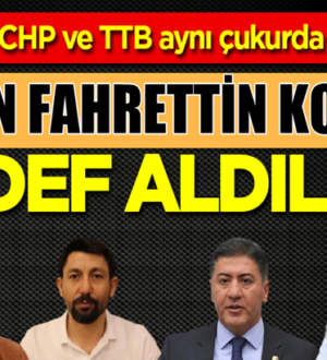 HDP, İP, CHP ve TTB aynı fikirde birleşti: Hedef Fahrettin Koca