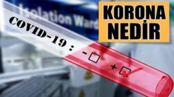 Koronavirüs nedir? Belirtileri neler? Korona hakkında bilinmeyenler