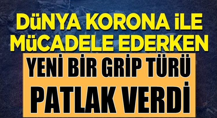  Koronavirüs Dünyada seyrini devam ettirirken şimdide kuş gribi başladı