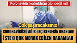 Koronavirüs sanıldığı gibi tehlikelimi işte korona verileri