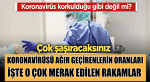 Koronavirüs sanıldığı gibi tehlikelimi işte korona verileri