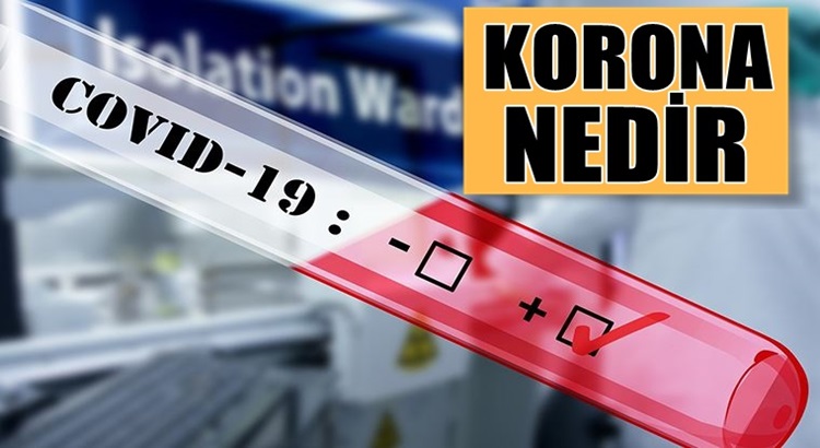  Koronavirüs nedir? Belirtileri neler? Korona hakkında bilinmeyenler