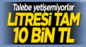 Mersin, Erdem’lide Propolis’in Litresi tam 10 bin TL! Talep yağıyor