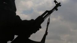 PKK’da Çözülmeler devam ediyor Siirt’te 2 terörist daha teslim oldu