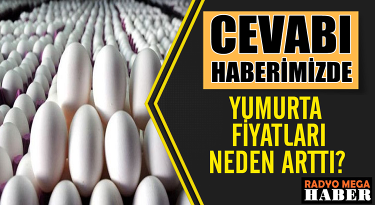  Yumurtada artan fiyatların nedeni ne? İşte haberimiz