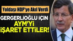 Ahmet Davutoğlu’nun Gelecek Partisi, HDP’ye yol gösterdi