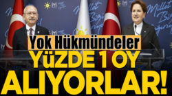 CHP ve İYİ Parti doğu bölgelerinde yok hükmünde!