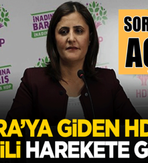 HDP’li Dilan Taşdemir hakkında soruşturma başlatıldı