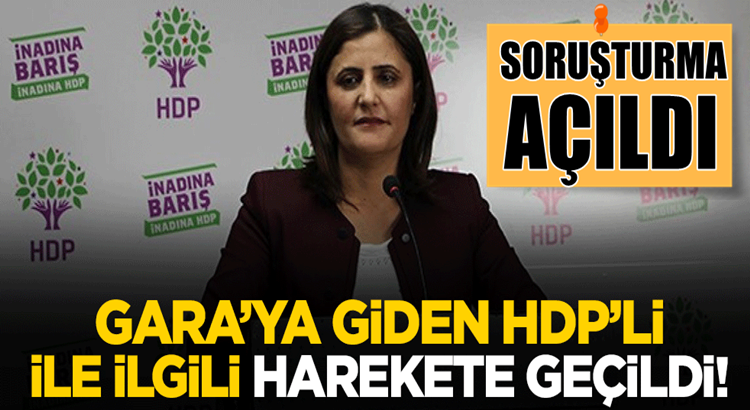  HDP’li Dilan Taşdemir hakkında soruşturma başlatıldı