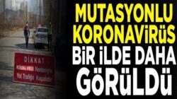 İngiltere merkezli Mutasyonlu koronavirüs Türkiye’de bir ilde daha görüldü