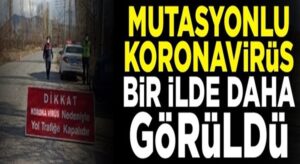 İngiltere merkezli Mutasyonlu koronavirüs Türkiye’de bir ilde daha görüldü