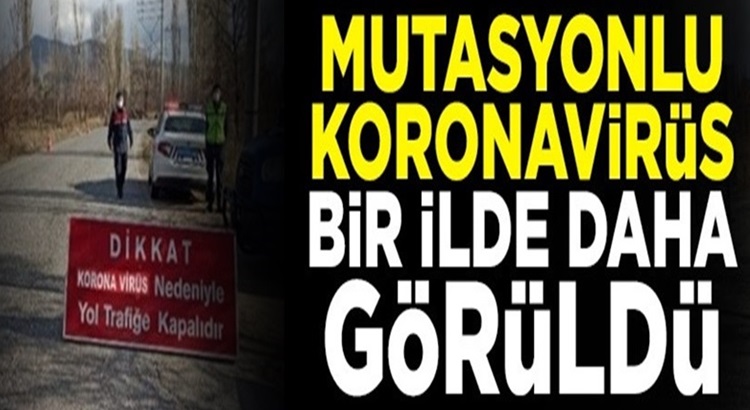  İngiltere merkezli Mutasyonlu koronavirüs Türkiye’de bir ilde daha görüldü