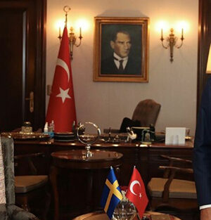 İsveç Dışişleri Bakanı Ann Linde,Türk halkıyla dayanışma içindeyiz