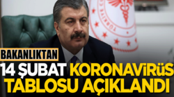 Koronavirüs 14 şubat tablosunu Sağlık Bakanlığı açıkladı