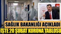 Koronavirüs 20 Şubat Türkiye tablosunu Sağlık Bakanlığı açıkladı