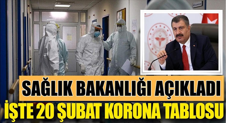  Koronavirüs 20 Şubat Türkiye tablosunu Sağlık Bakanlığı açıkladı