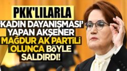 Meral Akşener, Ak Parti’li Özlem Zengin’e ağzına ne gelirse saydırdı