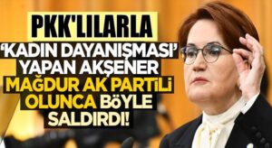 Meral Akşener, Ak Parti’li Özlem Zengin’e ağzına ne gelirse saydırdı