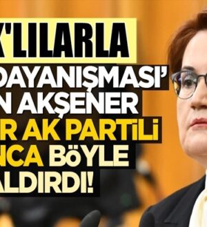 Meral Akşener, Ak Parti’li Özlem Zengin’e ağzına ne gelirse saydırdı