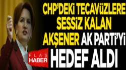 Meral Akşener CHP’deki tecavüzleri es geçti Ak Partiye saydırdı