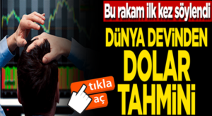 Rabobank’tan Piotr Matys’tan Türkiye’deki Dolar tahmini