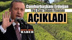 Başkan Recep Tayyip Erdoğan yaş çay alım fiyatını açıkladı