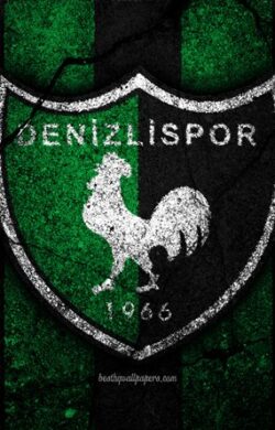 Süper Lig’den düşen Denizlispor’da başkanlık krizi baş gösterdi