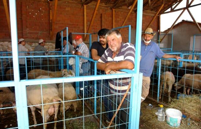  Bir çok ilde kurbanlıklar elde kaldı satıcılar düşünceli