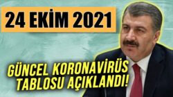 Koronavirüs Türkiye 24 Ekim 2021 tablosunu Sağlık Bakanlığı açıkladı
