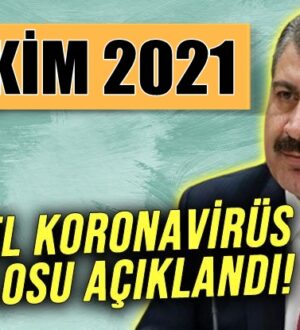 Koronavirüs Türkiye 24 Ekim 2021 tablosunu Sağlık Bakanlığı açıkladı