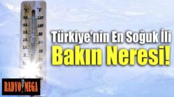 Türkiye’nin en soğuk şehirleri belli oldu  sıfırın altını gören iller